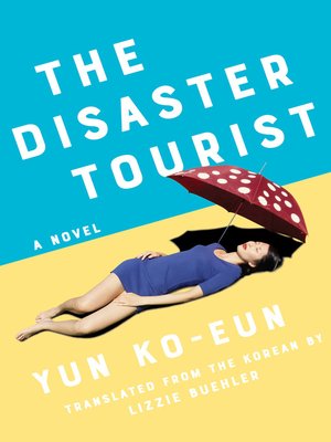 cover image of The Disaster Tourist